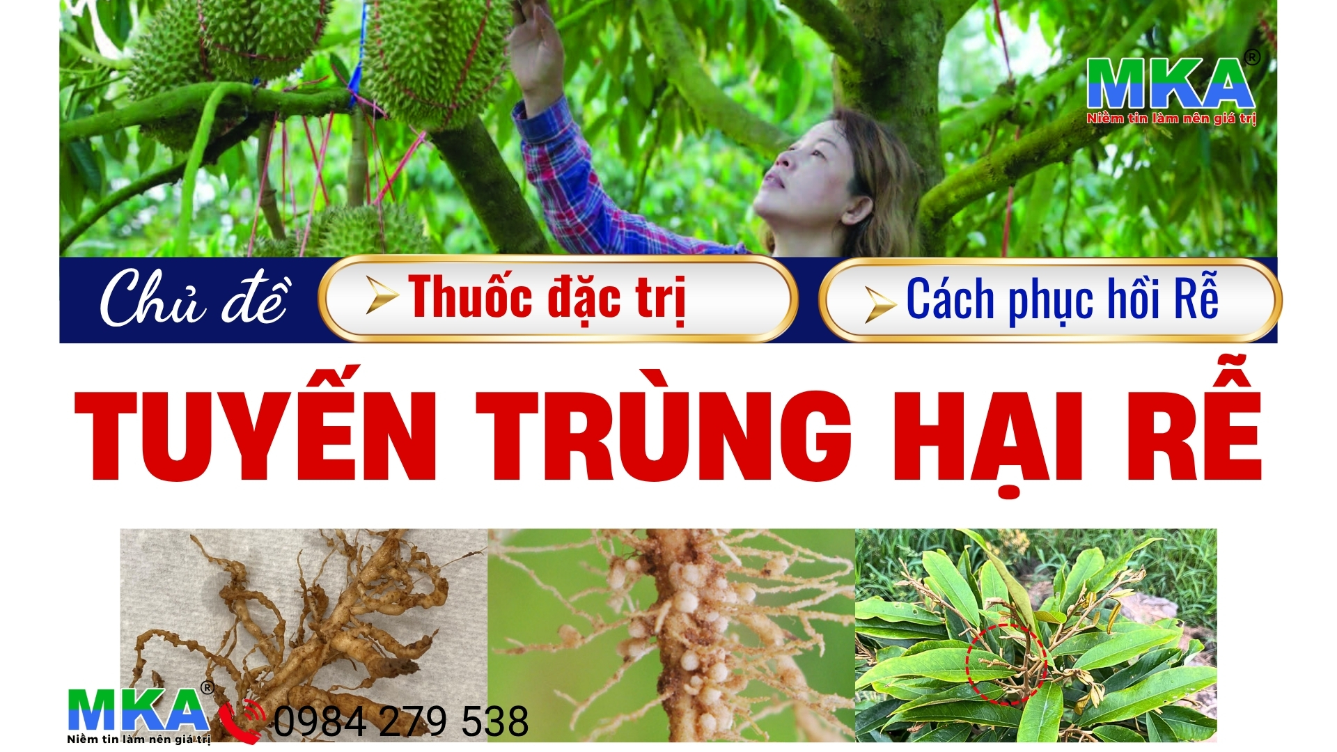 tuyến trùng rễ